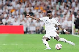 球迷期望的 球迷期望的